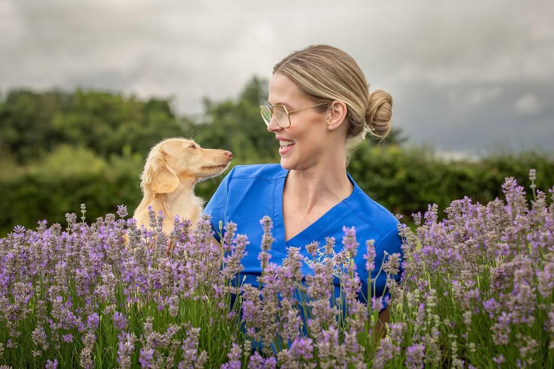 How to Choose the Right Dachshund Puppy for Your Family